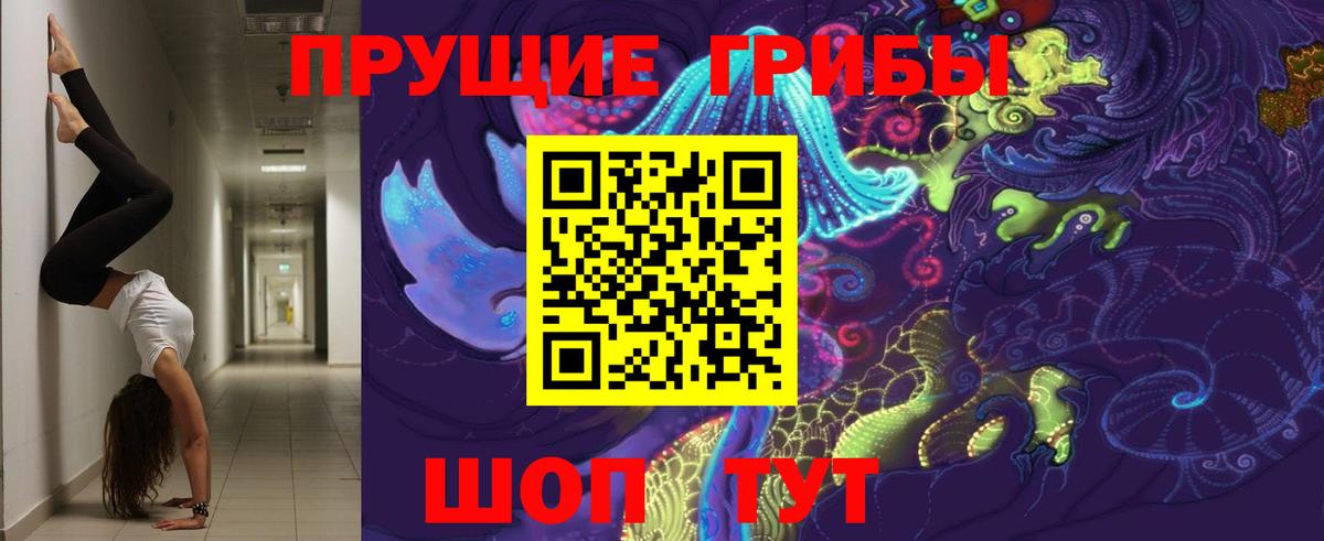 Галлюциногенные грибы ЛСД  Вход с VPN  Балашов  где продают   Псилоцибиновые грибы Cubensis 
