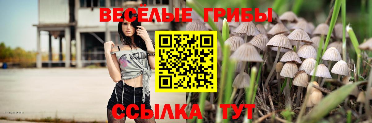 Псилоцибиновые грибы MAGIC MUSHROOMS Балашов